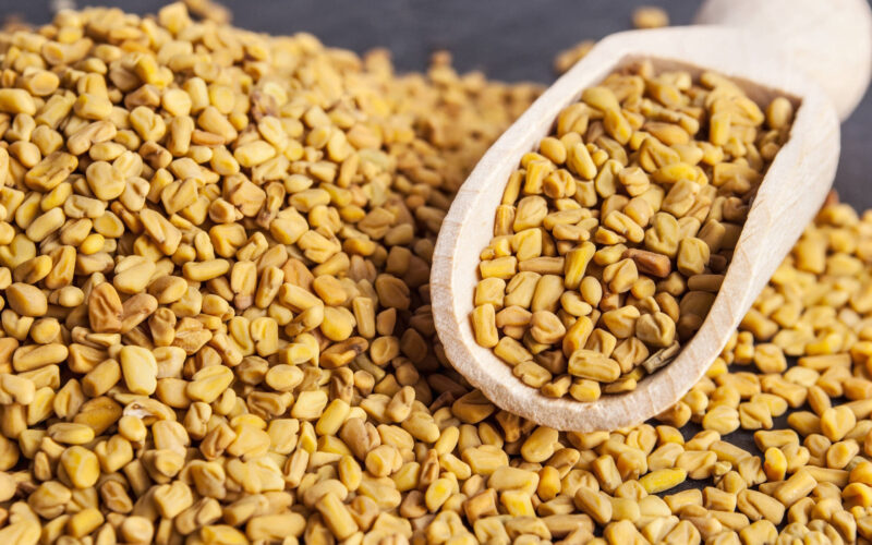 سعر طن الذرة الصفراء اليوم الثلاثاء 27 فبراير 2024 للمُستهلك في مصر