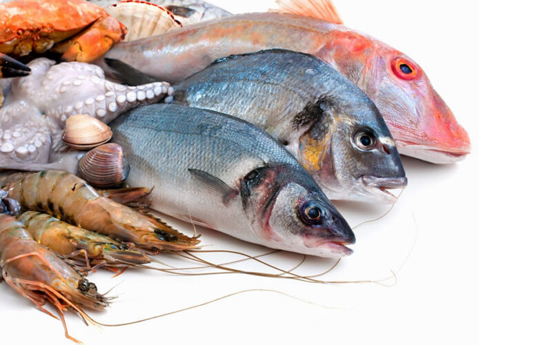 “مكرونه وقشر بياض” أسعار السمك اليوم للمستهلك الاحد 25 فبراير 2024 في مصر