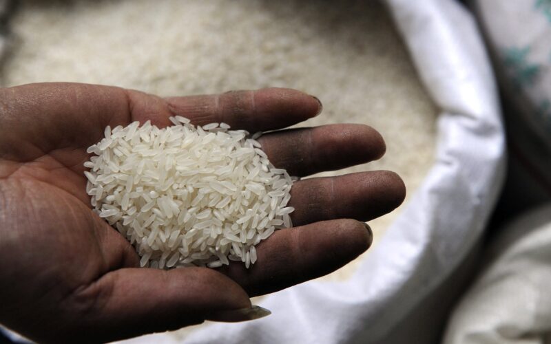 “أبيض وشعير” أسعار الأرز المصري اليوم الأحد الموافق 11 فبراير 2024 لكل الأنواع وفق ما تم الإعلان عنه من وزارة الزراعة