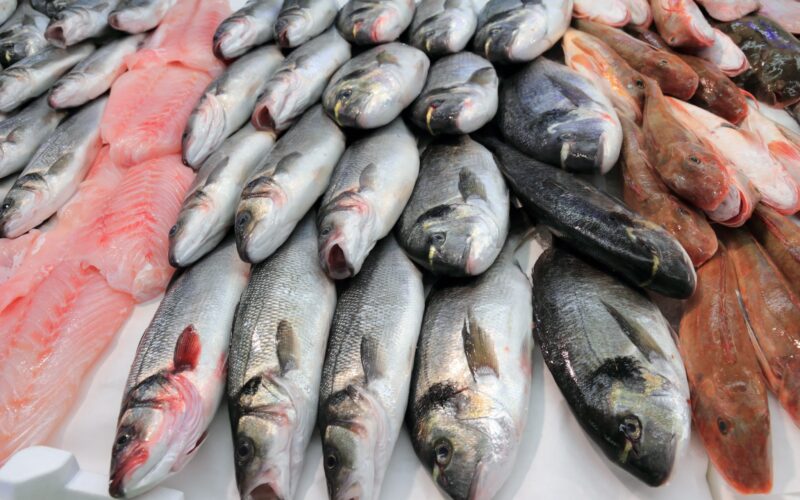 أسعار السمك اليوم للمستهلك الاربعاء 28 فبراير 2024 في الاسواق