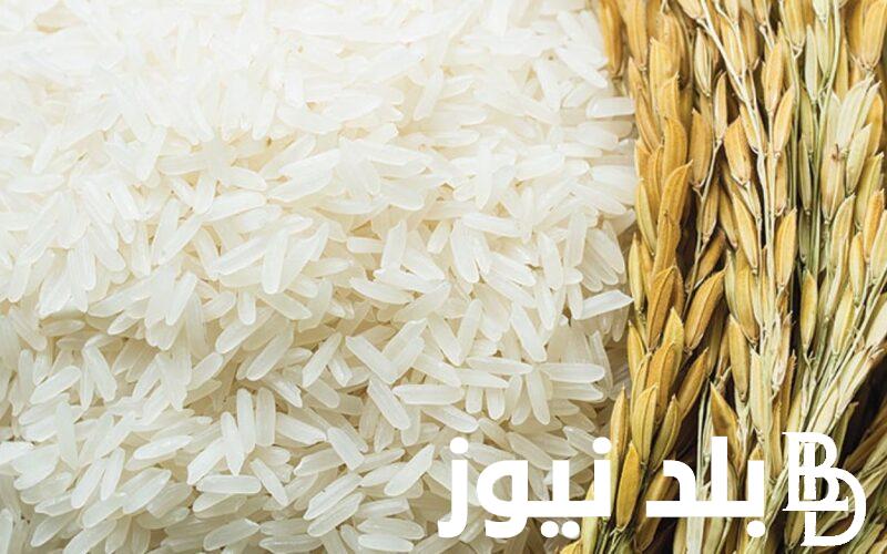 “خزني لرمضان” سعر طن الأرز الشعير اليوم السبت 17 فبراير 2024 للمستهلك في مصر