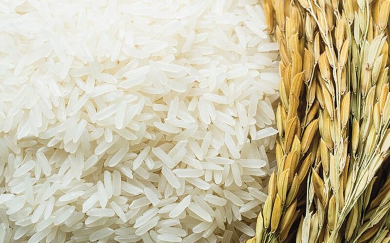خزني براحتك.. سعر طن الأرز الشعير اليوم السبت 17 فبراير 2024 بالاسواق والمجمعات الاستهلاكية