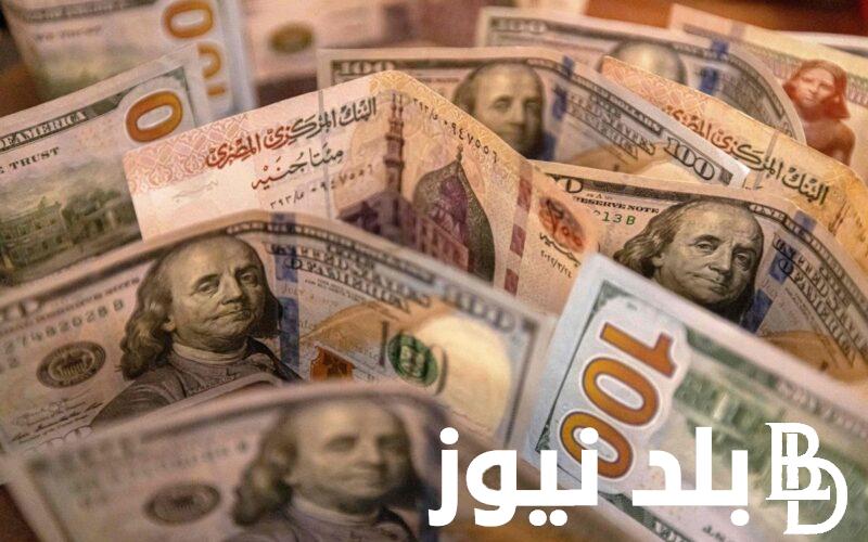“رأس المال سيقضي علي السوق السوداء” أسعار العملات في السوق السوداء اليوم في مصر السبت 24 فبراير 2024