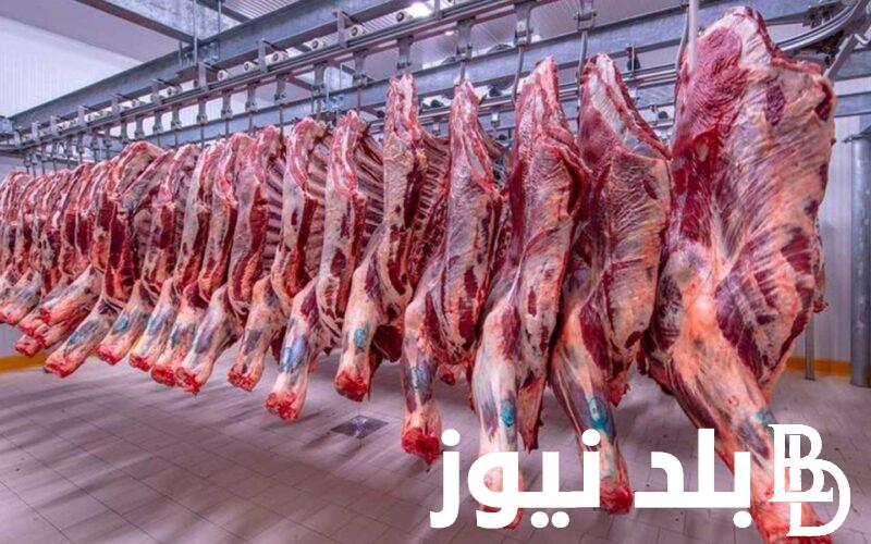 “الجملي أغلي من الدينار” سعر كيلو اللحمة الجملي اليوم الاثنين الموافق 19 فبراير 2024 في كل محلات الجزارة