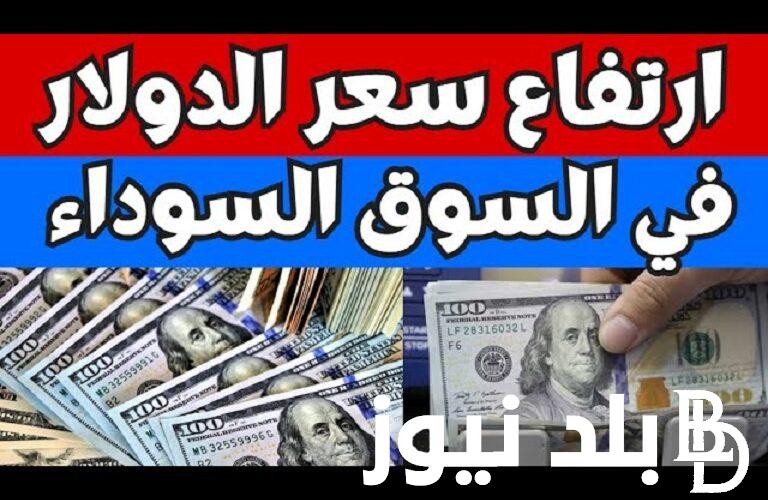 “ارتباك الدولار” سعر الدولار في السوق السوداء في مصر اليوم الاحد بتاريخ 4 فبراير 2024