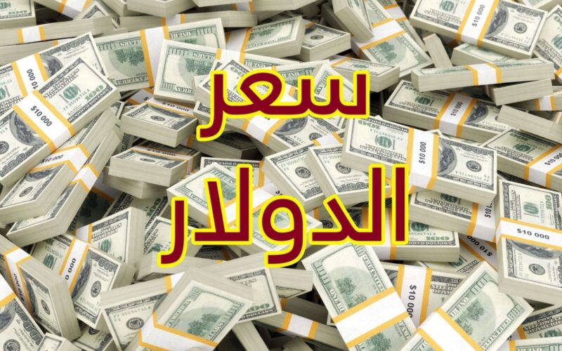 “الاخضر يكمل مسيرة مفأجاته” كم سعر الدولار في السوق السوداء في مصر اليوم؟ بتاريخ 18 فبراير 2024 في التعاملات اليومية