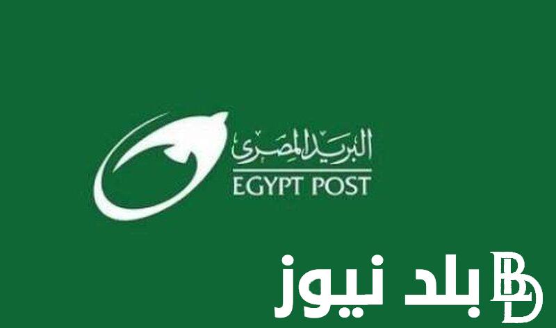 رابط تقديم وظائف البريد المصري 2024 عبر بوابة الوظائف الحكومية jobs.caoa.gov.eg