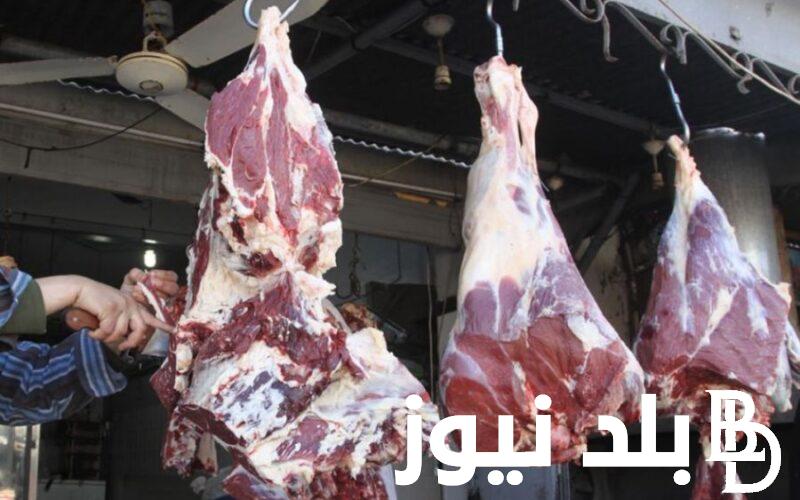 قائمة أسعار اللحوم اليوم الخميس 29 فبراير 2024 في الأسواق وفي منافذ الوزارة