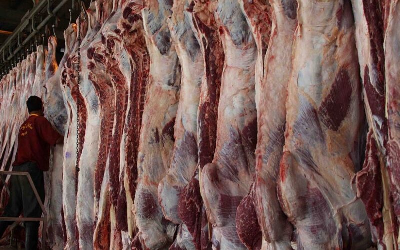 “بلدي وجملي” اسعار اللحوم الحمراء اليوم الاثنين 19 فبراير 2024 للمستهلك في محلات الجزارة وفي المنافذ والمجمعات الاستهلاكية
