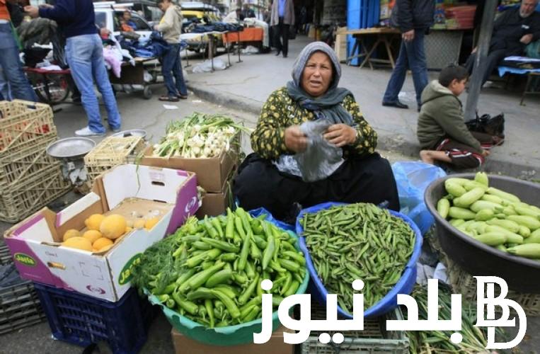 اليكم جدول أسعار الخضار اليوم في مصر الاربعاء 27 مارس 2024