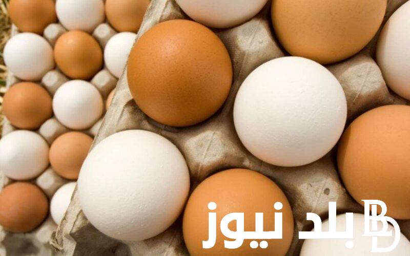 سعر كرتونة البيض اليوم السبت 30 مارس 2024 للمُستهلك في مصر