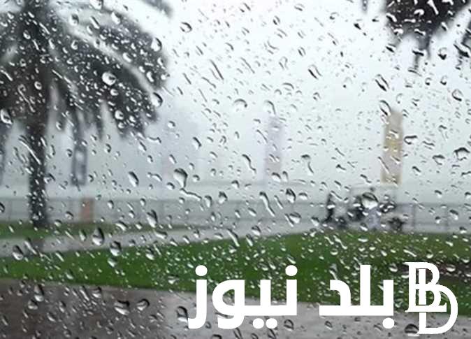 دعاء المطر في رمضان 2024 المستحب والمستجاب.. “اللهم أعوذ بك من عذاب القبر ومن فتنة المحيا والممات”