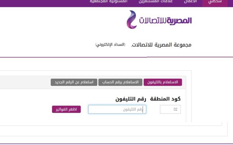 الان معرفة فاتورة التليفون الارضي 2024 شهر مارس عبر موقع المصرية للاتصالات billing.te.eg