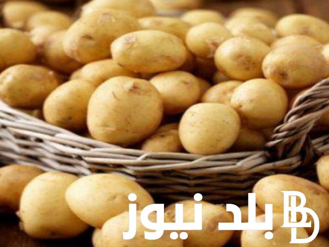 “تحمير وسلق” أسعار البطاطس اليوم في سوق العبور بتاريخ السبت 9 مارس 2024