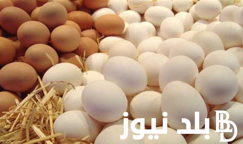 ‎سعر البيض الأحمر اليوم الثلاثاء 5 مارس 2024 للمستهلك بجميع الشركات المصرية
