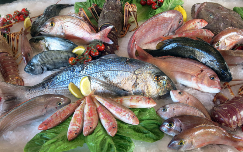 ” البلطي بكام ” أسعار السمك اليوم البلطي الخميس 14 مارس 2024 في جميع الأسواق المصرية