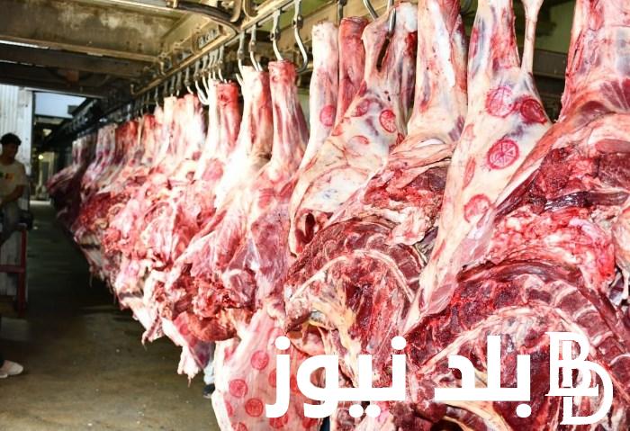 “جملي وبتلو” اسعار اللحوم اليوم الاحد 31 مارس 2024 في محلات الجزارة و منافذ البيع