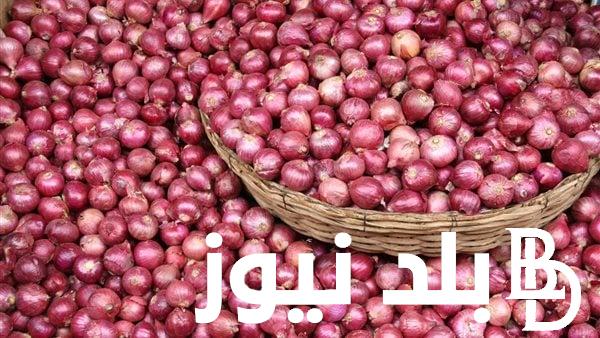الكيلو بكام؟.. اسعار البصل اليوم في مصر الخميس بتاريخ 28 مارس 2024 في سوق العبور والاسواق التجارية