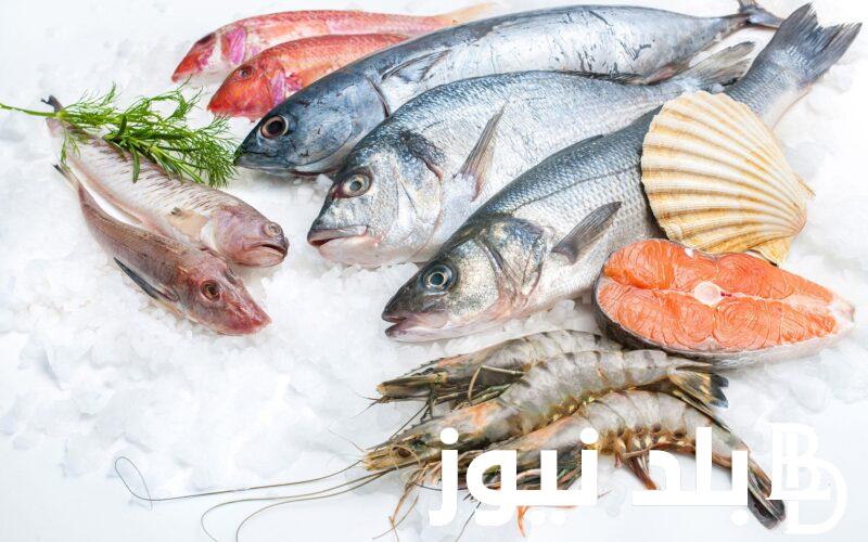 أسعار السمك اليوم للمستهلك الاحد 24 مارس 2024 في سوق العبور