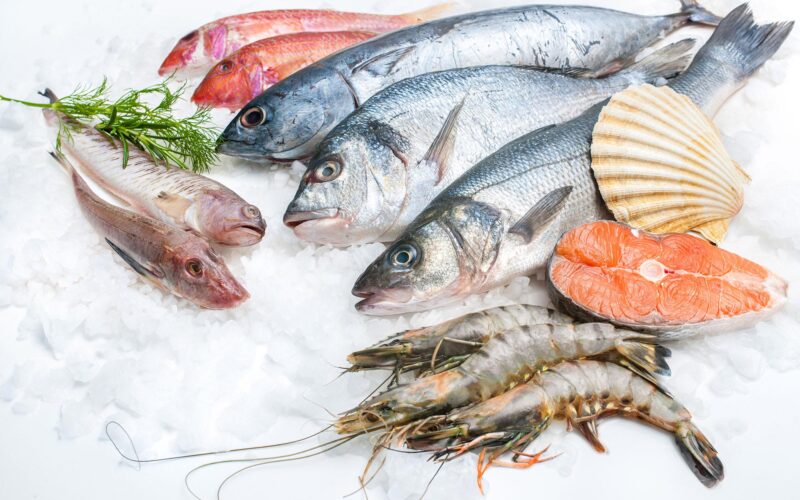 إليكم قائمة أسعار السمك اليوم بسوق العبور السبت 23 مارس 2024 للمستهلك