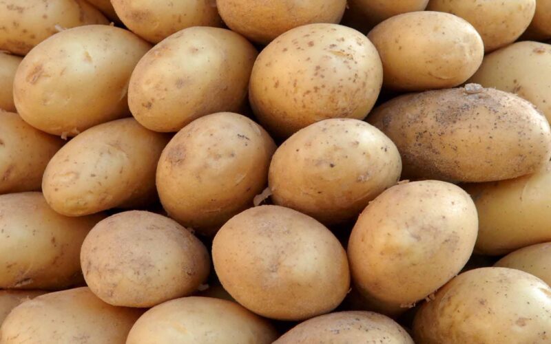 أسعار البطاطس اليوم في سوق العبور السبت 30 مارس 2024 للمستهلك