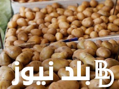 أسعار البطاطس اليوم في سوق العبور السبت 30 مارس 2024 للمستهلك في مصر