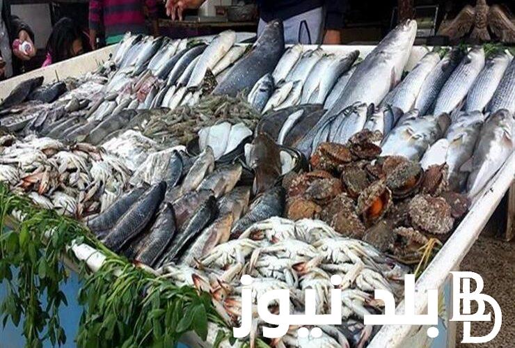 “الفيليه والبلطي” اسعار السمك اليوم الثلاثاء 26 مارس 2024 في مصر