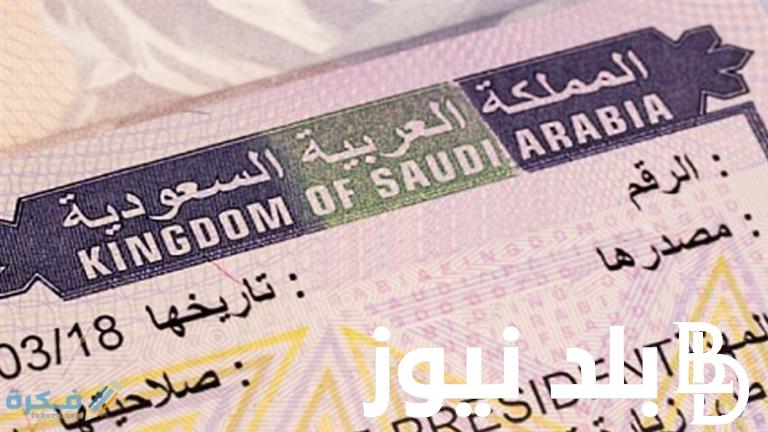 وزارة الخارجية منصة التأشيرات.. خطوات الاستعلام عن التاشيرة الكترونيا