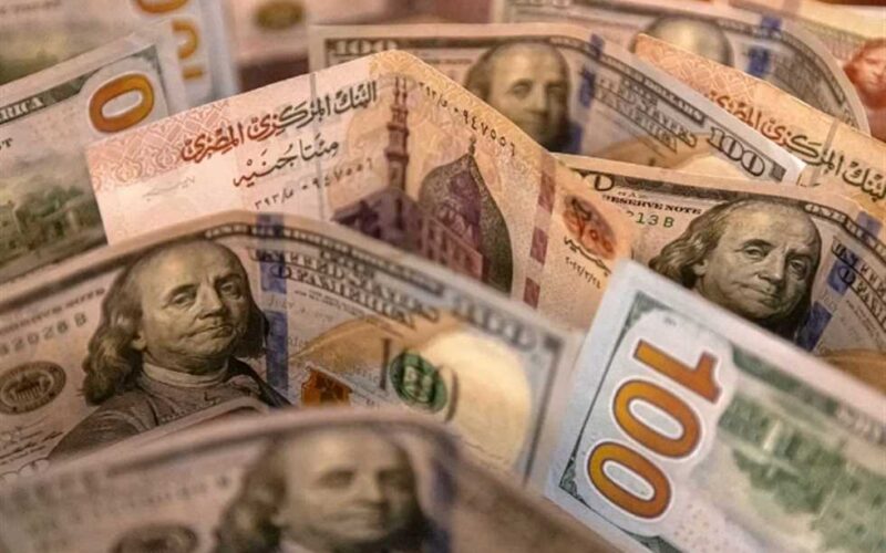“الاخضر يواصل الاستقرار”سعر الدولار في السوق السوداء في مصر اليوم لحظة بلحظة بتاريخ الاحد 10 مارس 2024