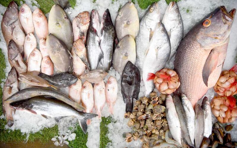 جدول أسعار السمك اليوم البلطي الخميس 7 مارس 2024 في سوق العبور وأسواق التجزئة