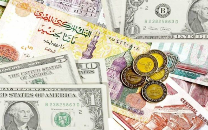 “العملات مستمرة في التأرجح” أسعار العملات في السوق السوداء اليوم في مصر بتاريخ 29 مارس 2024