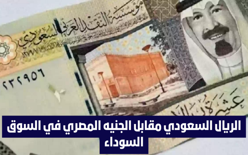 سعر الريال السعودي اليوم في البنك الأهلي السبت 23 مارس 2024 مقابل الجنيه المصري