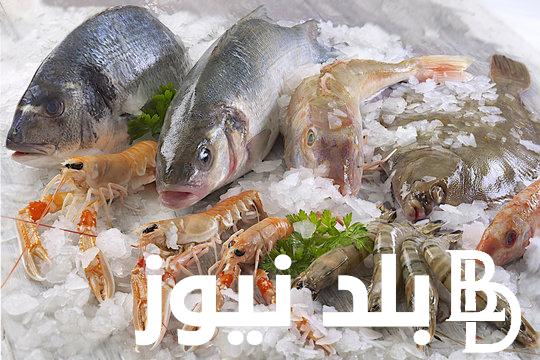 اسعار السمك اليوم السبت 9 مارس 2024 في جميع الاسواق