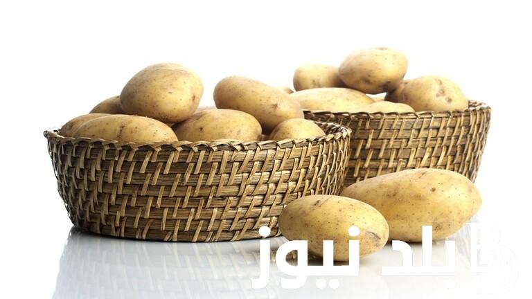 إليكم قائمة أسعار البطاطس اليوم في سوق العبور بتاريخ 11 مارس 2024