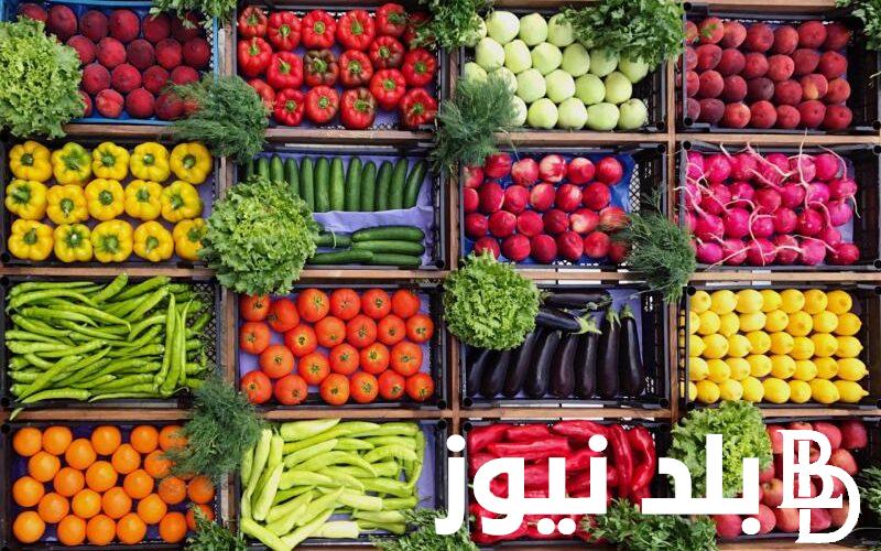 جدول أسعار الخضار اليوم الاثنين 18 مارس 2024 للمستهلك في مصر