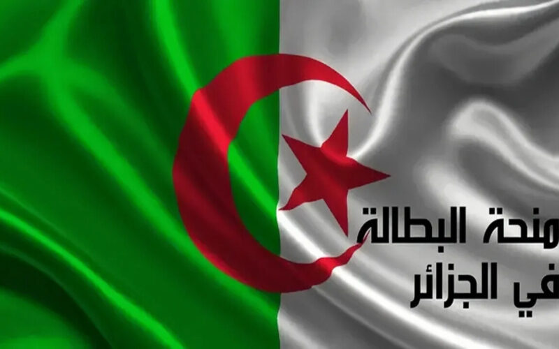 الان رابط التسجيل فى منحة البطالة فى الجزائر 2024 من موقع الوكالة الوطنية للتشغيل