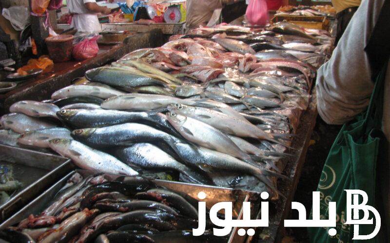 تعرف علي.. اسعار السمك اليوم الثلاثاء  12 مارس 2024 في سوق العبور بالقاهرة
