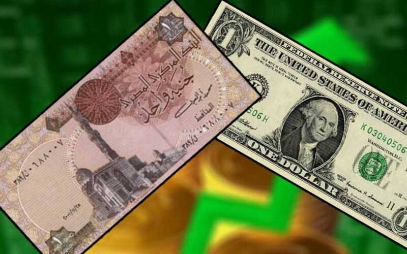 استقرار الدولار أمام الجنيه في تعاملات اليوم الاربعاء 27 مارس 2024 في مختلف البنوك