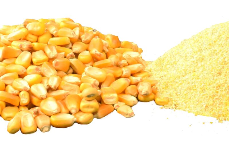“الكورن فلاك الارجنتيني” سعر طن الذرة الصفراء اليوم الخميس 21 مارس 2024 في مصر بجميع الاسواق المحلية