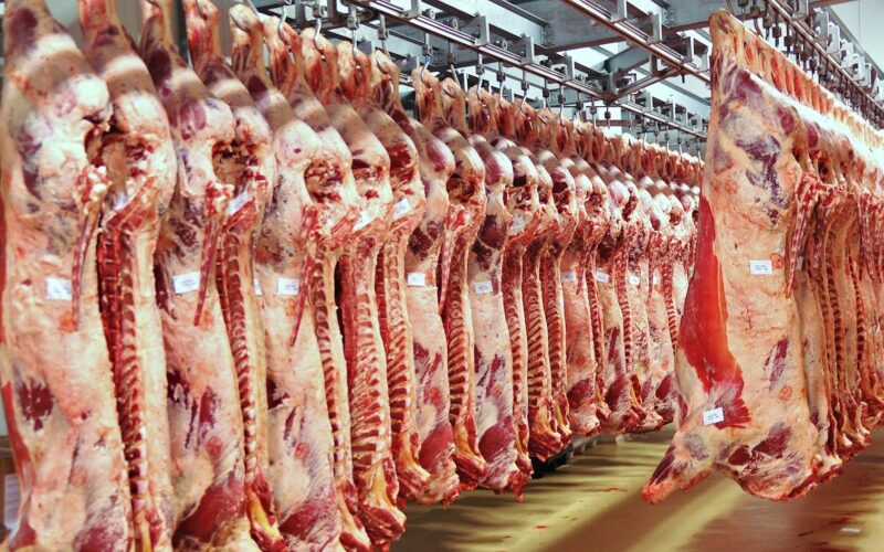 اسعار اللحوم اليوم في مصر الثلاثاء 12 مارس 2024 في جميع الاسواق التجارية