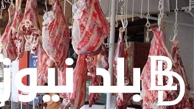 حقيقة.. ارتفاع أسعار اللحوم اليوم الاحد 24 مارس 2024 في الاسواق ومنافذ البيع