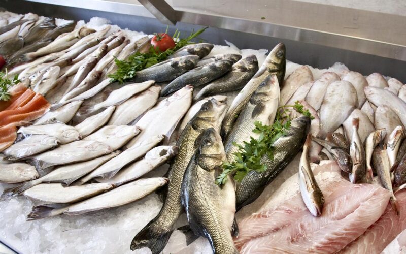 اسعار السمك اليوم الخميس 7 مارس 2024 في جميع الاسواق