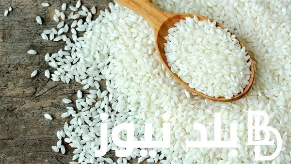 اسعار الأرز الشعير اليوم الثلاثاء 19 مارس 2024 للمستهلك في مصر