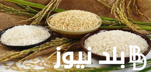 الكيلو بكام ؟.. سعر طن الأرز اليوم الخميس 14 مارس 2024 في الاسواق و المحال التجارية