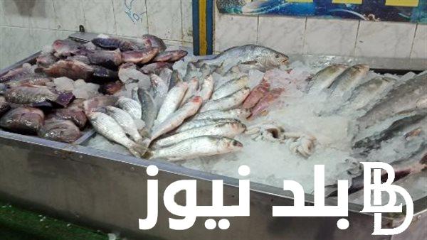‎أسعار السمك اليوم للمستهلك الجمعة 8 مارس 2024 واسعار الجمبري