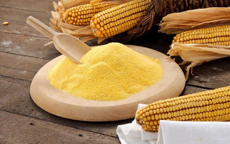 سعر طن الذرة الصفراء في مصر 2024 اليوم الاثنين 25 مارس للمستهلك