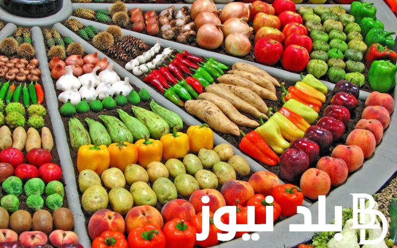 اسعار الخضار اليوم السبت 16 مارس 2024 للمُستهلك في سوق العبور