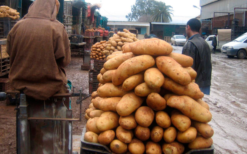 قائمة أسعار البطاطس اليوم في سوق العبور الأحد 10 مارس 2024 للمُستهلك