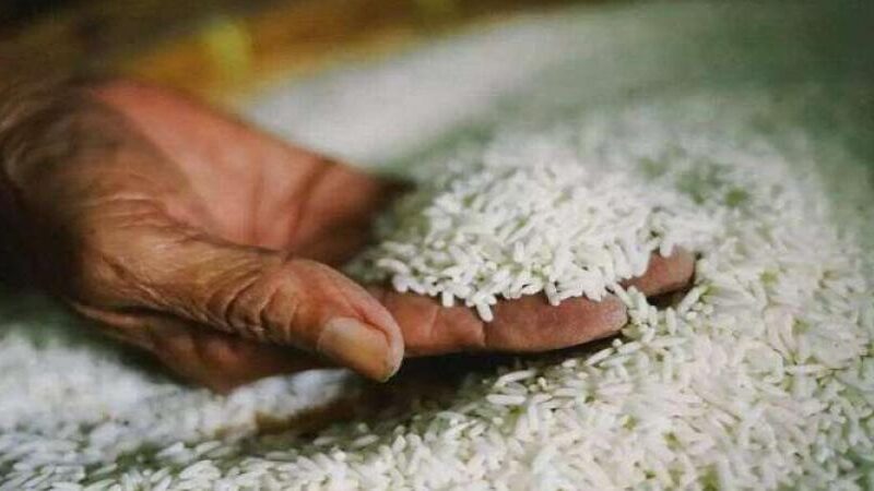 سعر طن الأرز الشعير اليوم الاثنين 25 مارس 2024 في السلاسل التجارية للمستهلك