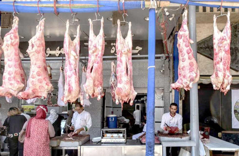 اسعار اللحوم اليوم الاثنين 25 مارس 2024 للمستهلك في محلات الجزارة
